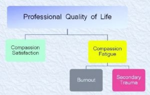 Compassion Fatigue Symptoms Chart